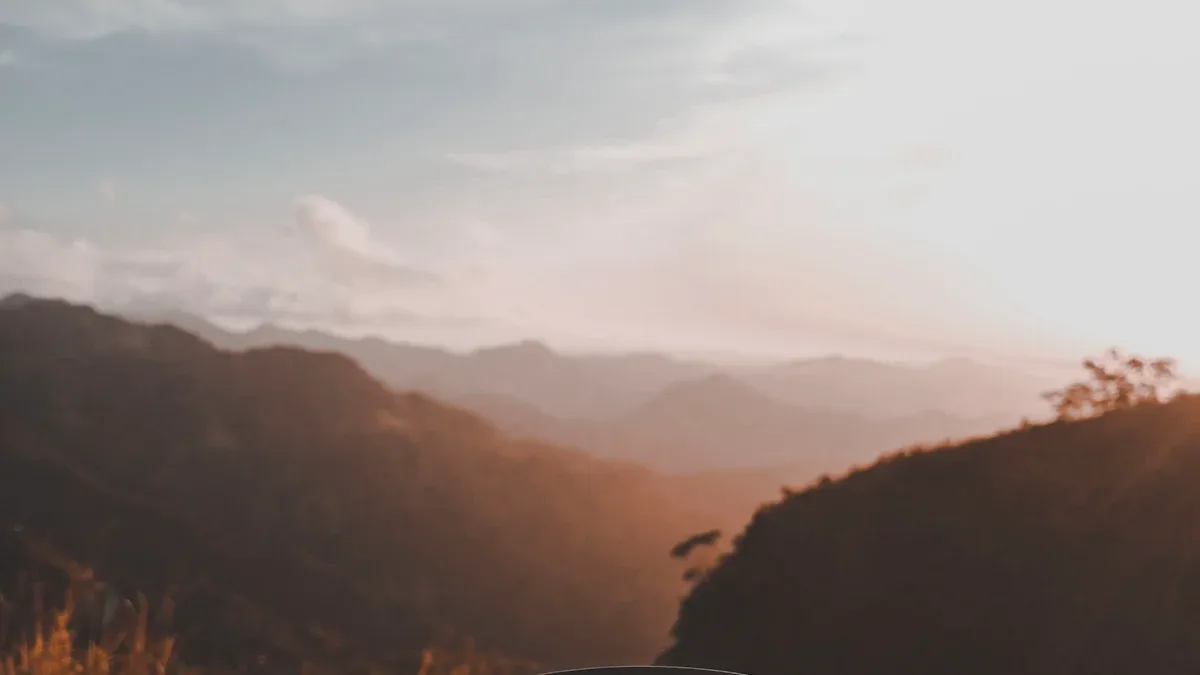 Coffee Flavor by Altitude