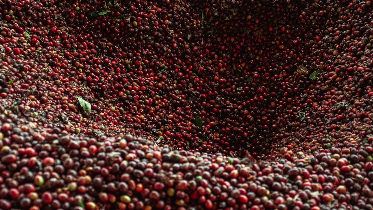 Natural Coffee Processing