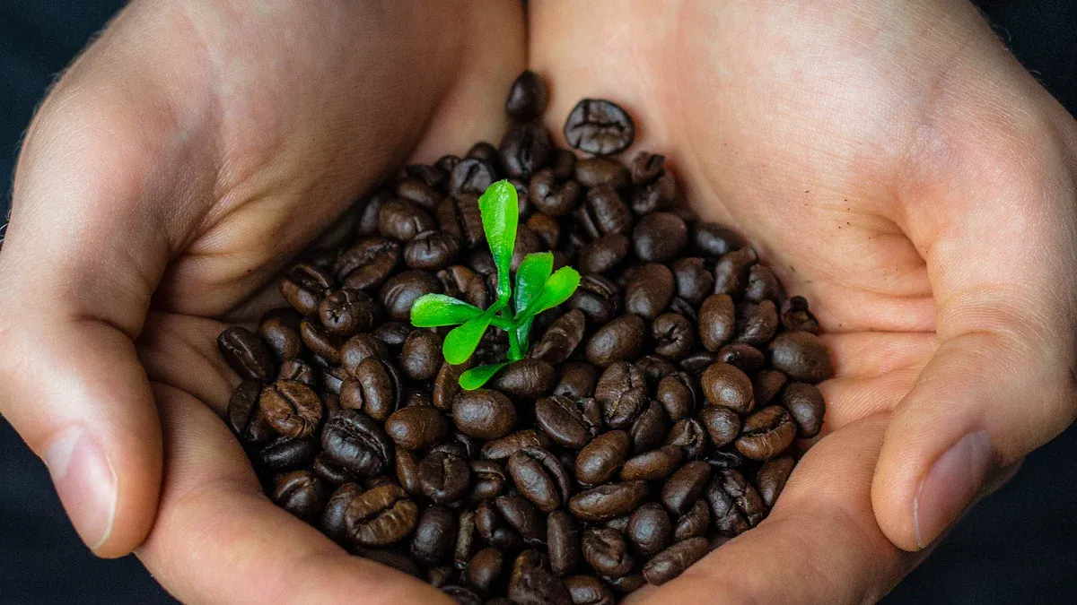 Organic Coffee Labels