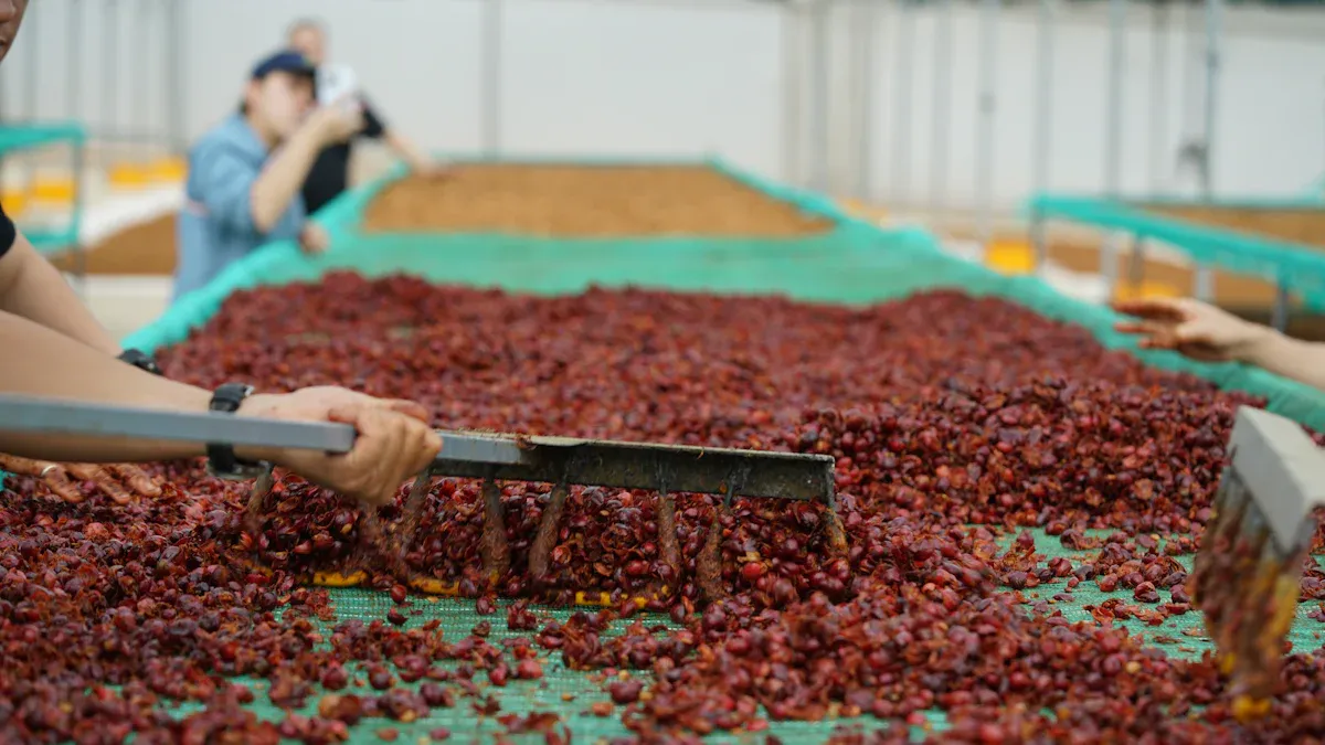 How Processing Methods Affect Coffee Flavor: Washed, Natural, Honey