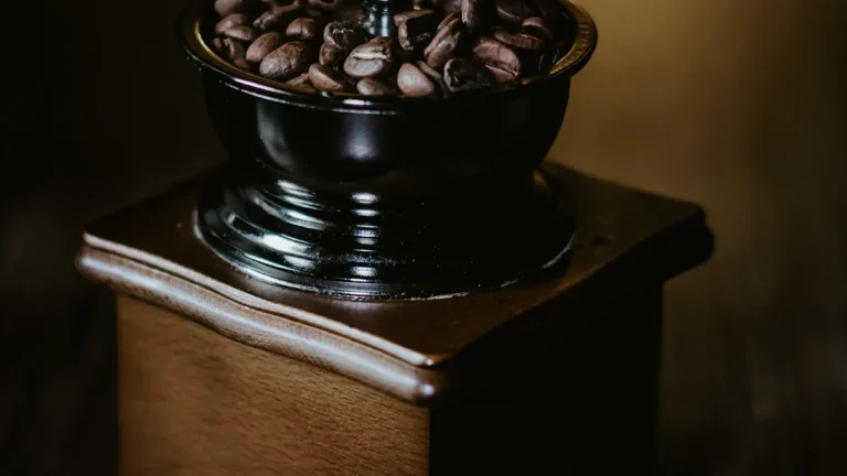 Choosing the Right Coffee Grinder: Blade vs Burr