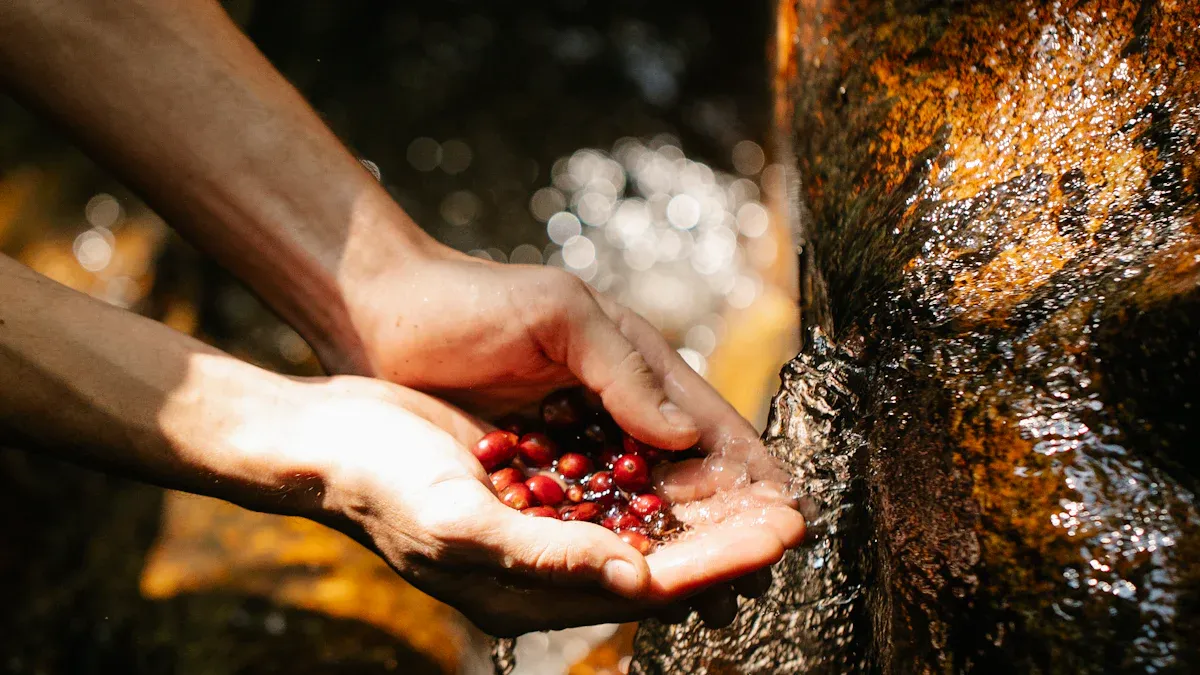 Washed Processing Methods