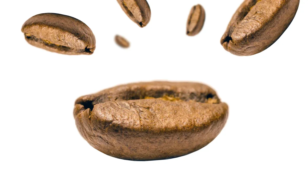Robusta Characteristics