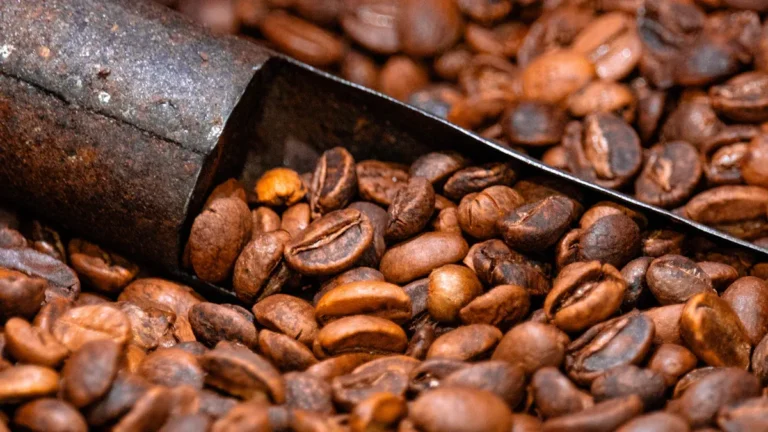 How Bean Type Influences Grind Size
