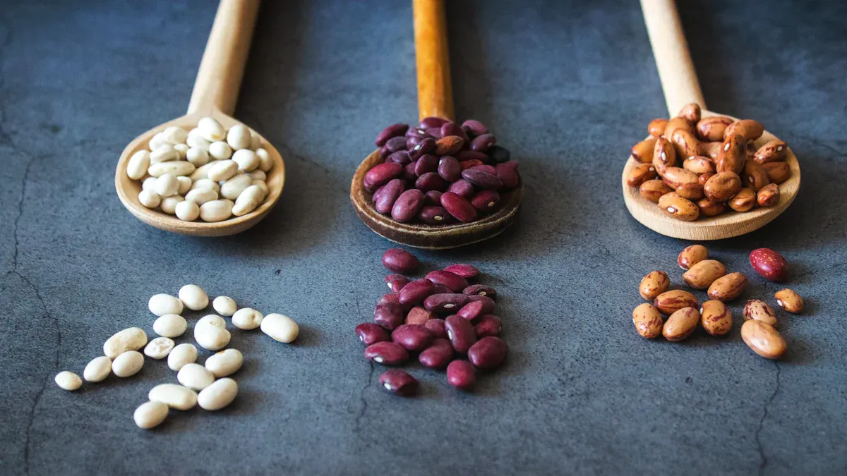 Bean Characteristics