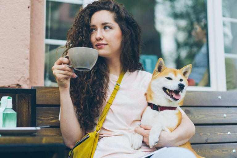 caffeine toxicity risks for dogs