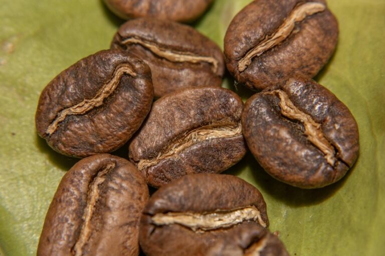 global coffee bean origins