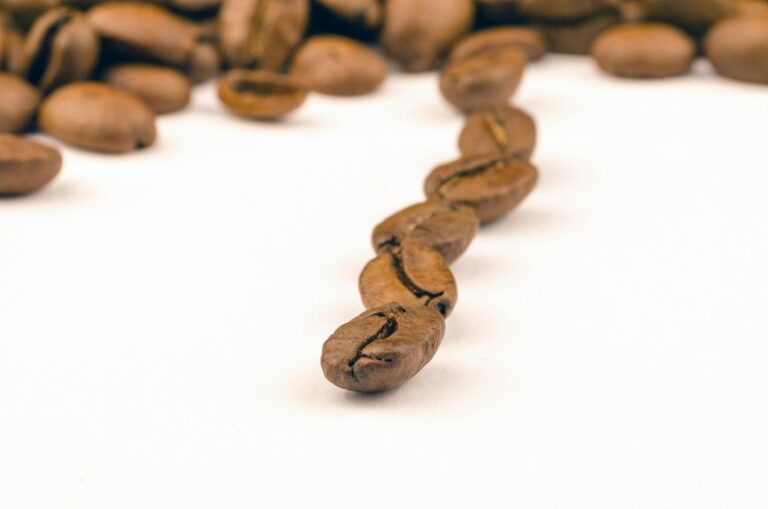 same beans different roast